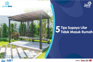 5 Tips Supaya Ular Tidak Masuk Rumah