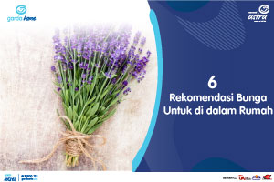 6 Rekomendasi Bunga Untuk di dalam Rumah