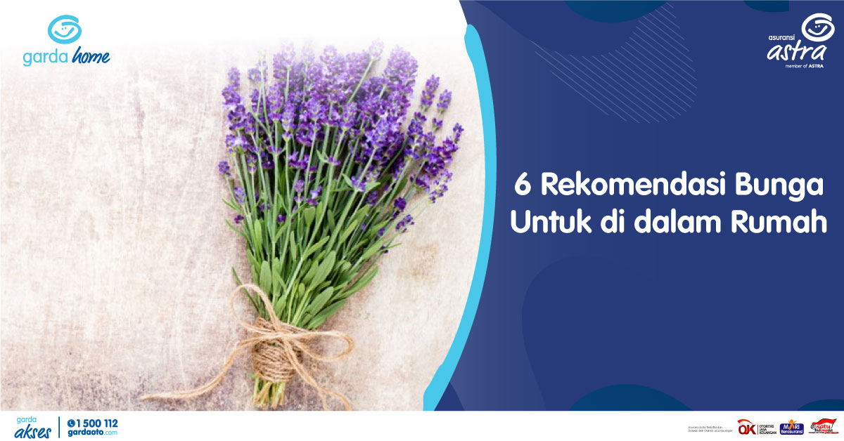 6 Rekomendasi Bunga Untuk di dalam Rumah