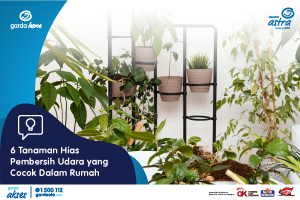 6 Tanaman Hias Pembersih Udara yang Cocok Dalam Rumah